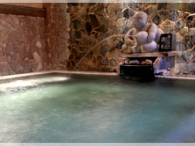 Hotel Seifuuen Shibata  Екстериор снимка